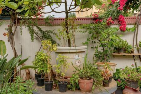 Eden Garden Villa By Jadecaps Nr Mg Road Garden Bangalore Eksteriør billede